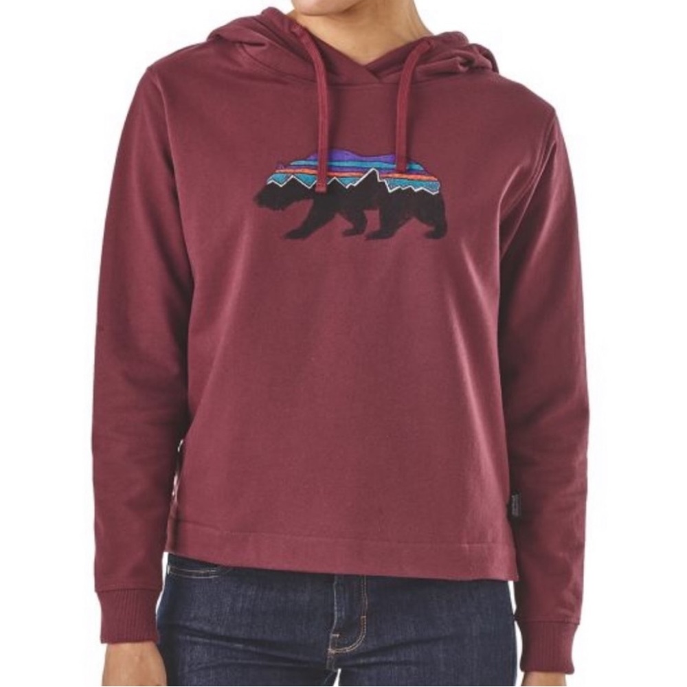 Patagonia hoodie